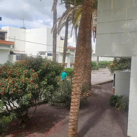Primavera 293 * Arona (Tenerife)