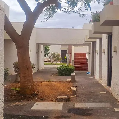 Primavera 293 * Arona (Tenerife)