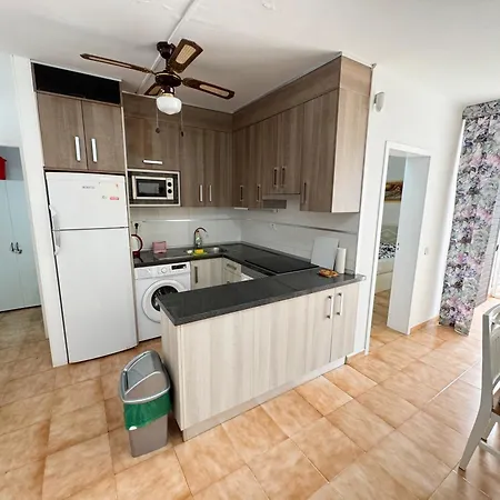 Primavera 293 * 阿罗纳